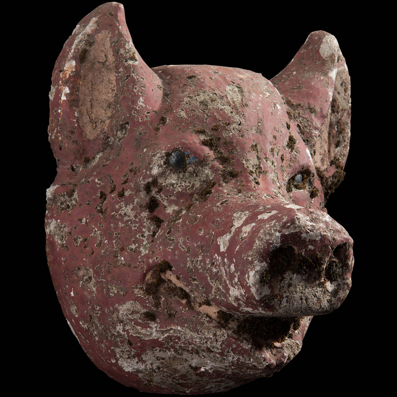 Concrete pig head with original paint and glass eyes.