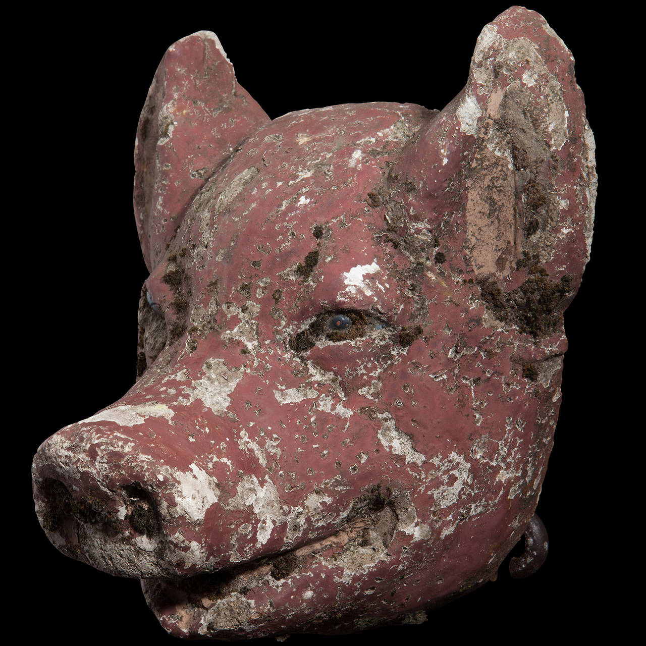 Cast Concrete Animal Head