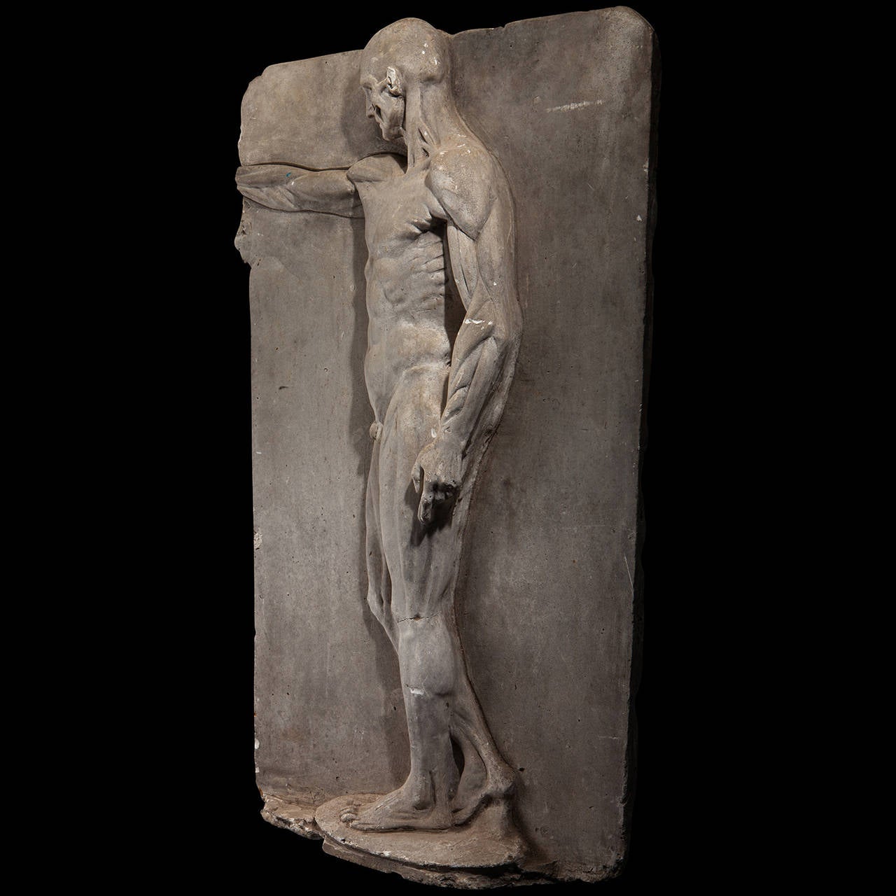 Early 20th Century Anatomical Plaster Ecorche of Man