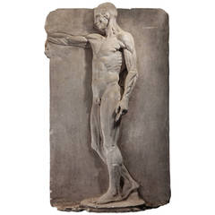 Anatomical Plaster Ecorche of Man