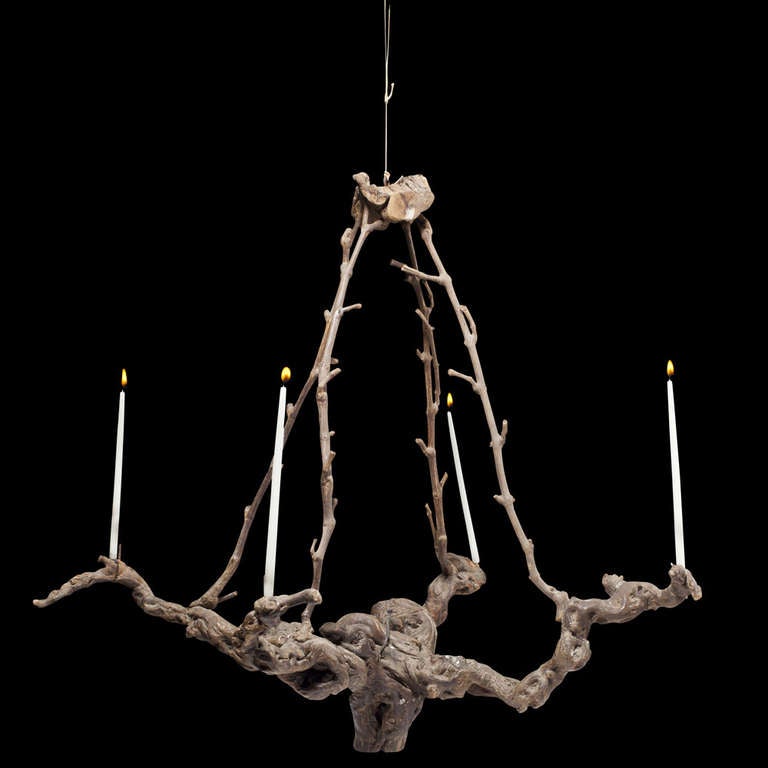 Vine Root Chandelier