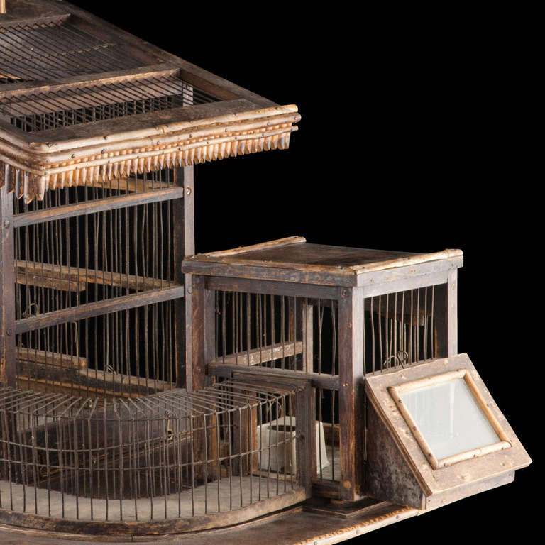 Bird Cage 3