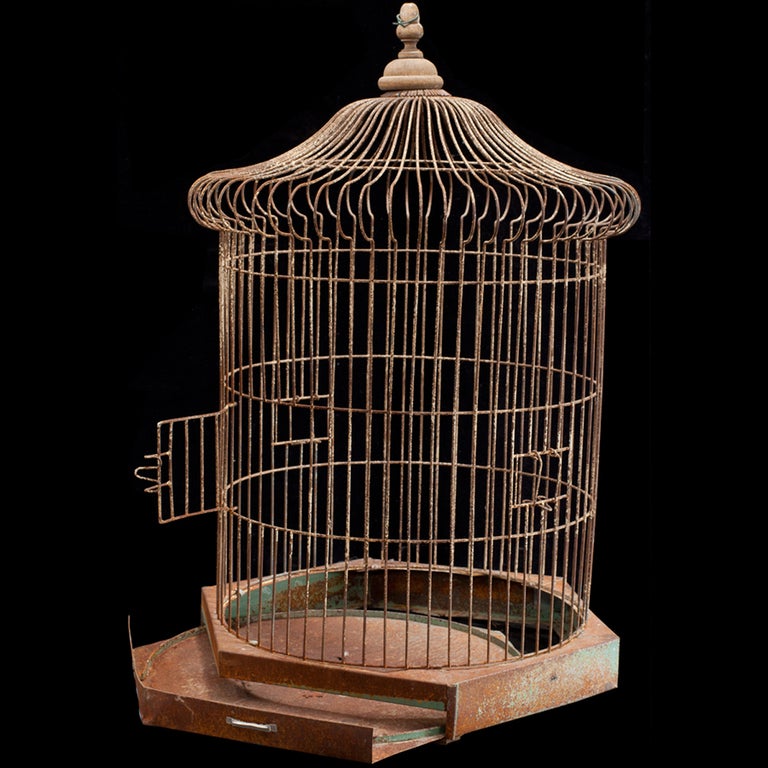 Unusual form, simple wire cage with removeable tray