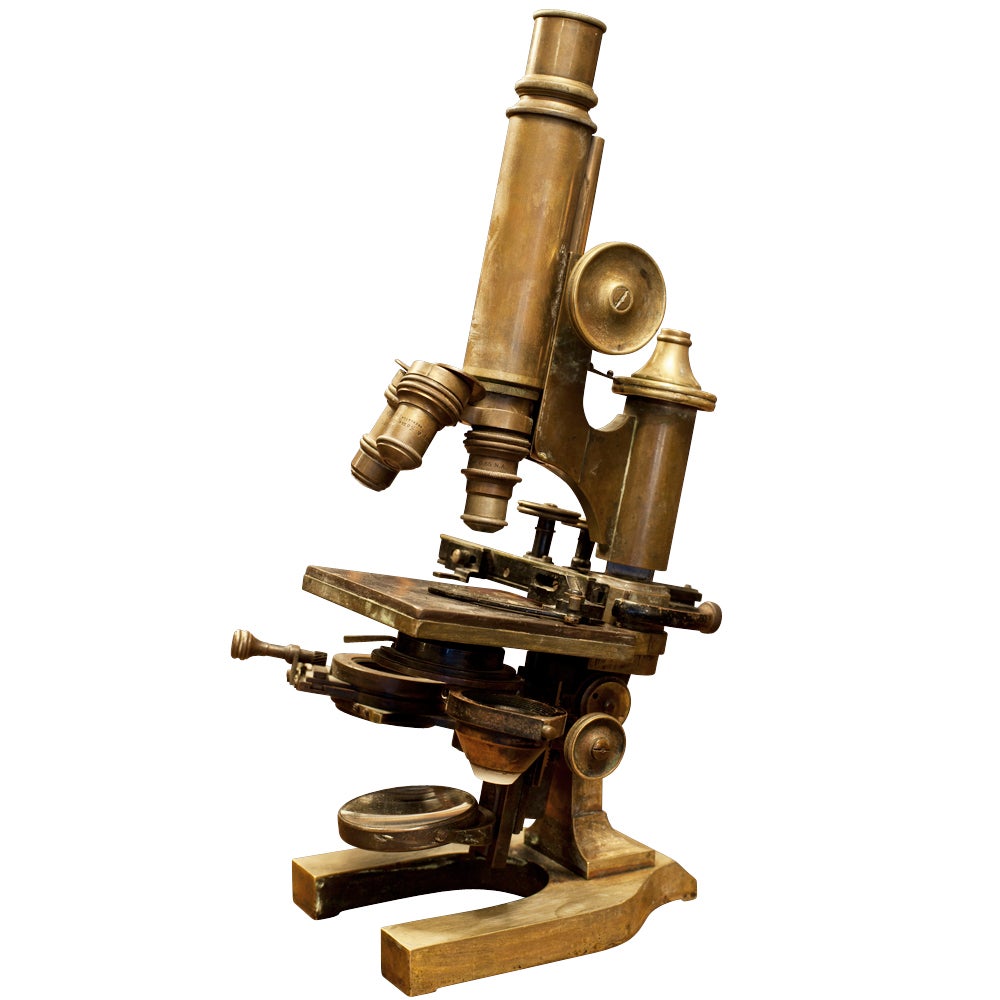 Ernst Leitz Brass Laboratory Microscope 