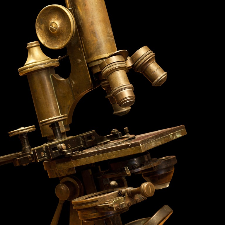Ernst Leitz Brass Laboratory Microscope  In Good Condition In Culver City, CA
