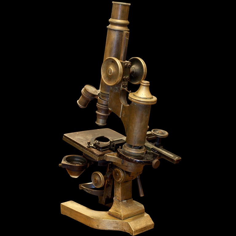 German Ernst Leitz Brass Laboratory Microscope 