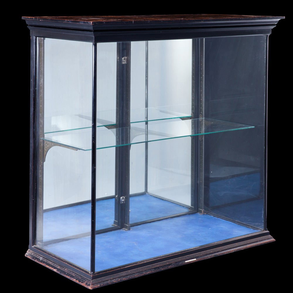 Ebonized Wood Display Cabinet