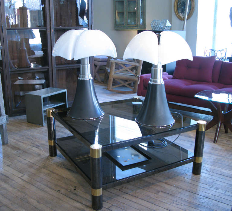 Pair of Vintage Pippistrello Lamps by Gae Aulenti 2