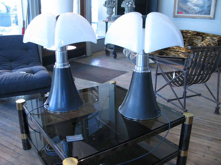 Pair of Vintage Pippistrello Lamps by Gae Aulenti 3