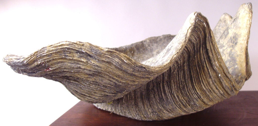 clam shell cast