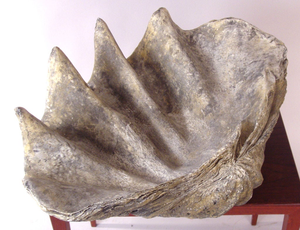 giant clam shell prop for sale