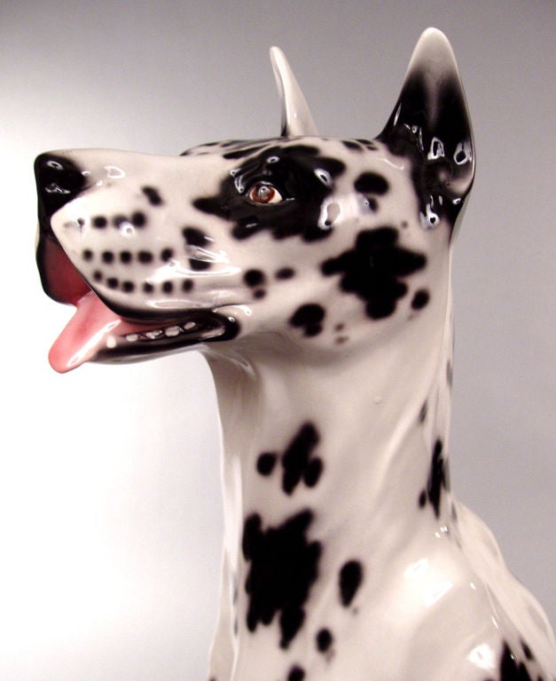 italian great dane