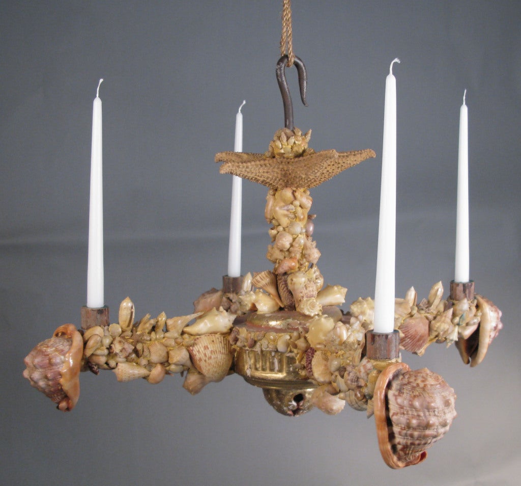 an antique French candle chandelier circa 1870, with a gilt gold frame and almost entirely encrusted with a wide variety of seashells, capped with a large starfish canopy. Beautifully made and in excellent condition.