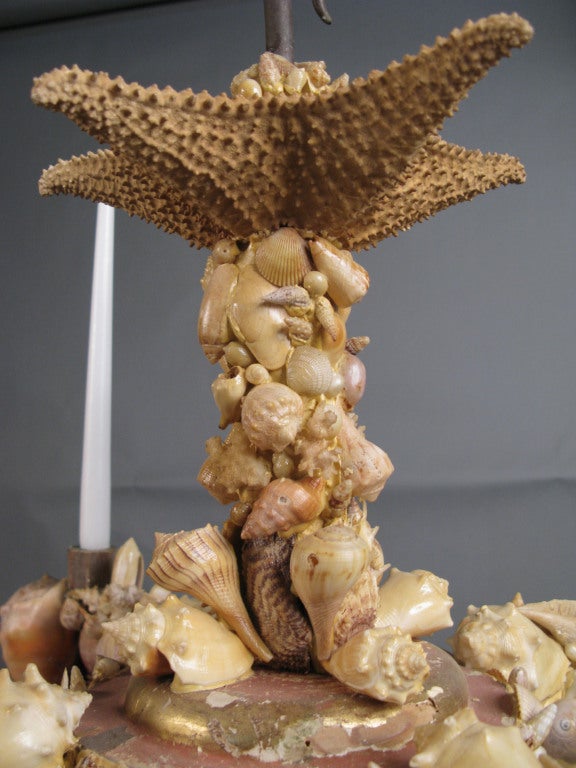 Charming 19th Century French Seashell Chandelier In Excellent Condition In Hudson, NY