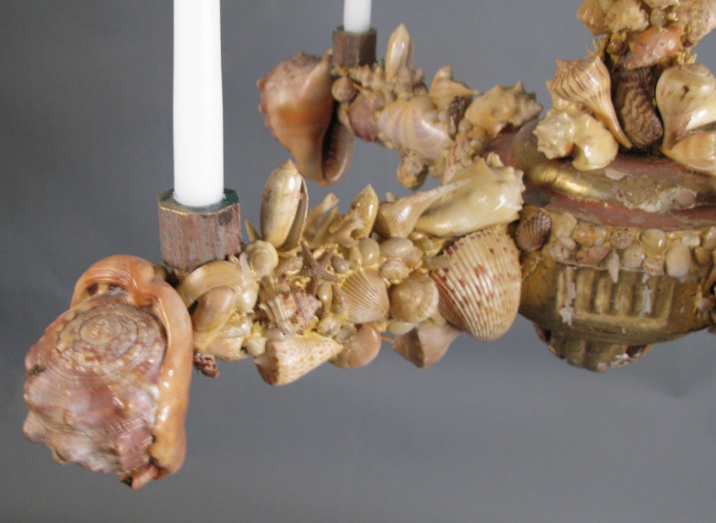 Charming 19th Century French Seashell Chandelier 1