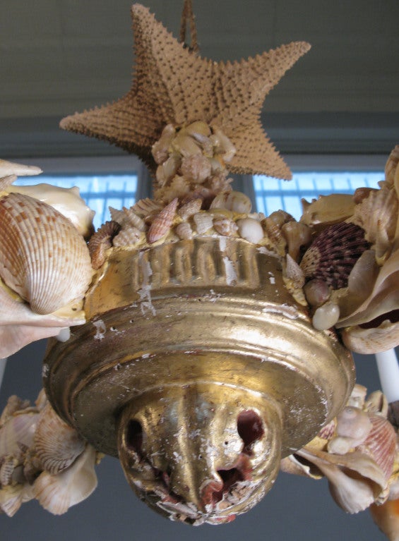 Charming 19th Century French Seashell Chandelier 3