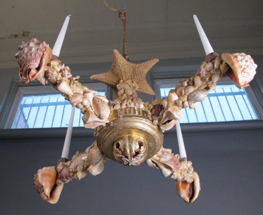Charming 19th Century French Seashell Chandelier 4