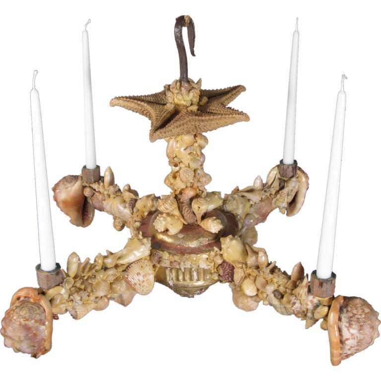 Charming 19th Century French Seashell Chandelier