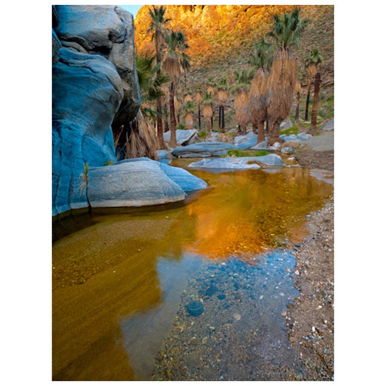 Palm Canyon Reflection, #1, 2010