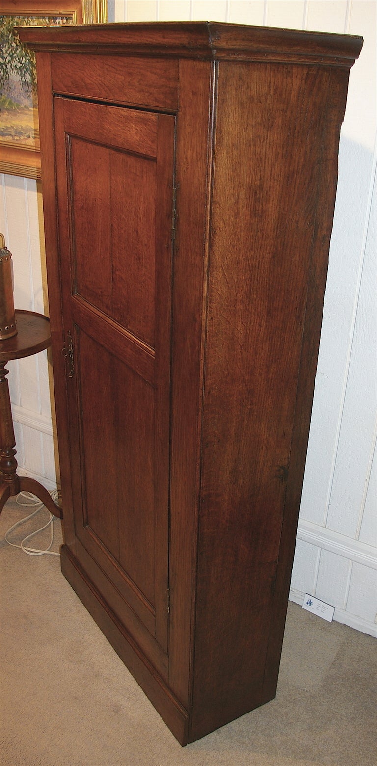 This small scale one door cupboard is very narrow in depth and has a very pretty color and patina. Four original shelves in the interior. Probably made in the Dyfed region of West Wales around about the year 1780.