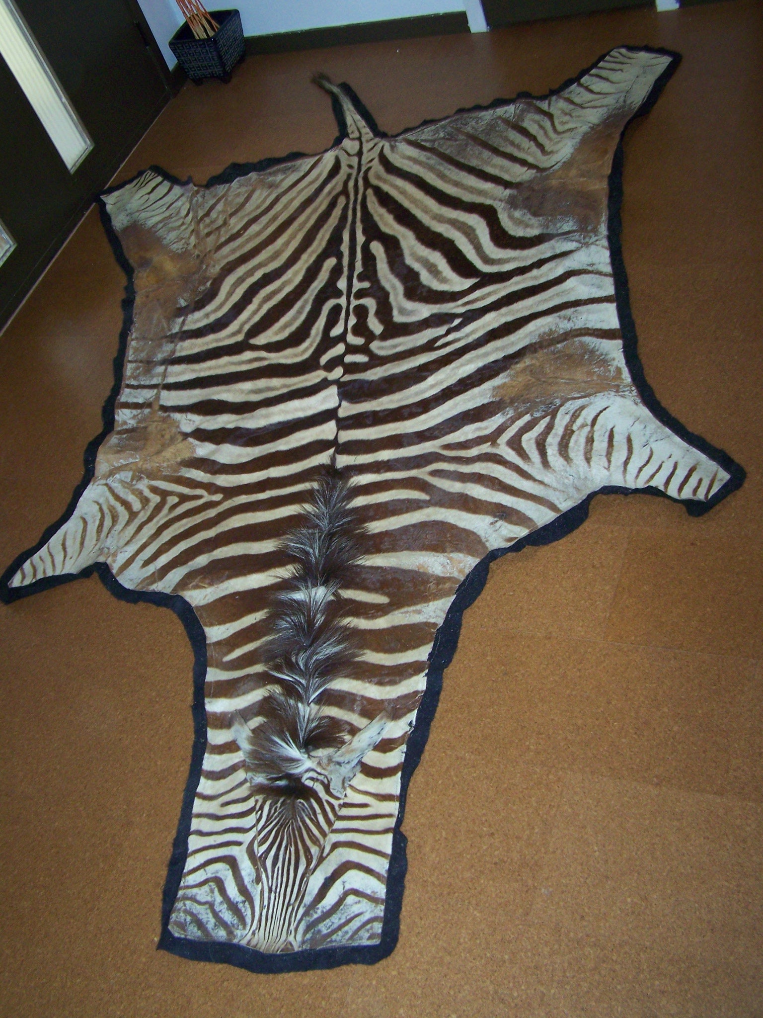 Vintage Zebra Skin Rug on Black Felt