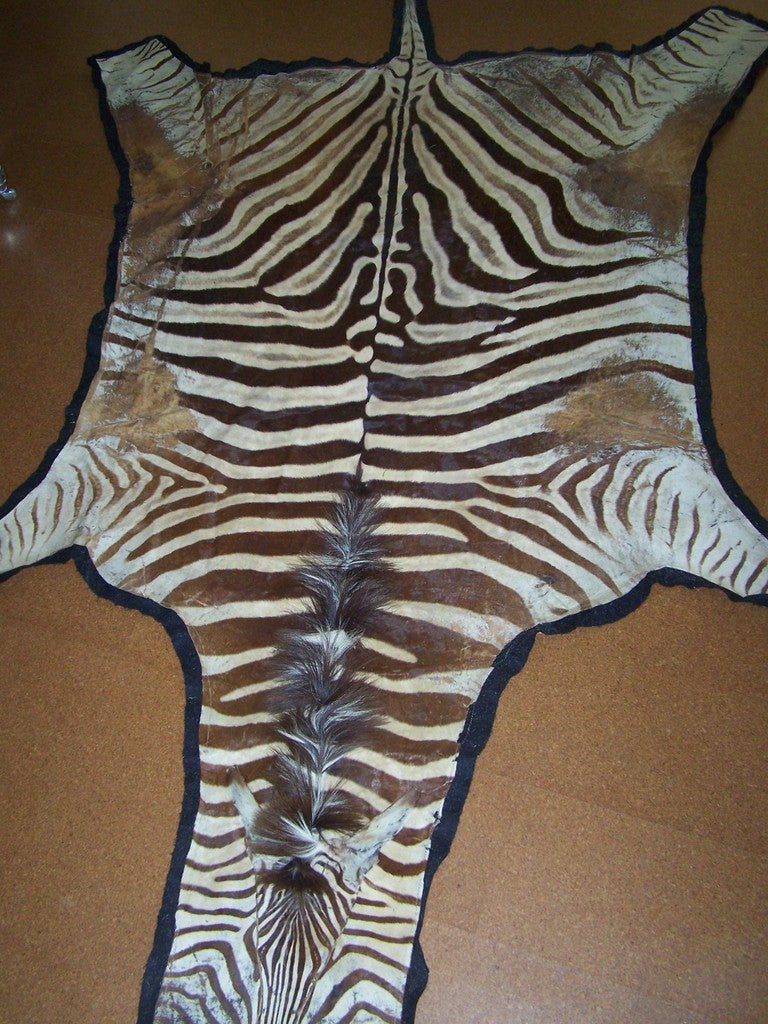 Zebra skin rug mounted on black felt.  If you have any questions about this item or about shipping, please contact dealer.