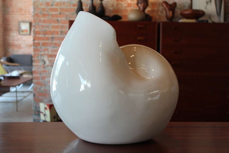 Large Ceramic Shell 1