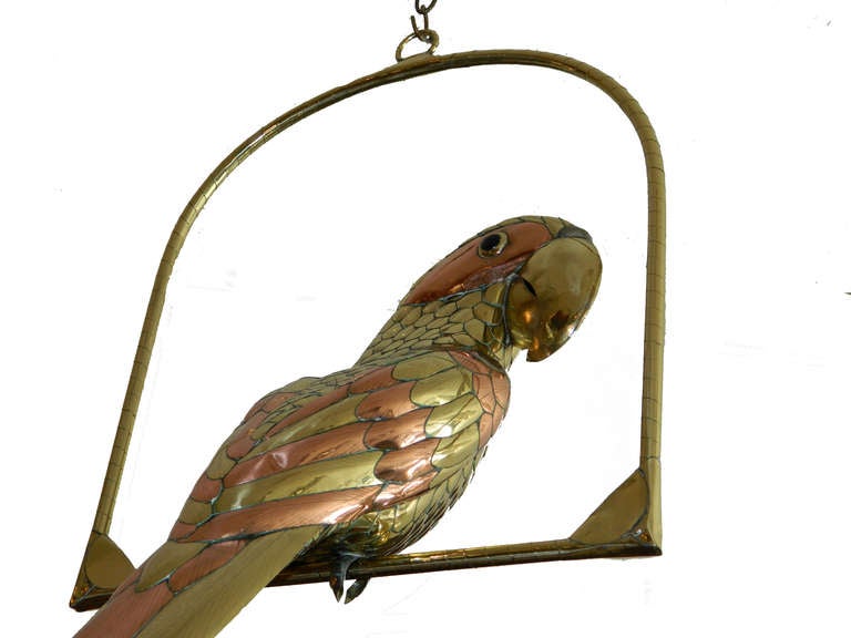 Brass and copper parrot on a swing by Sergio Bustamante.
Measurement: with the swing 34