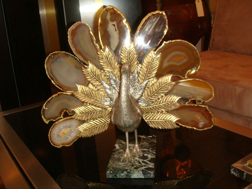 Willy Daro Peacock