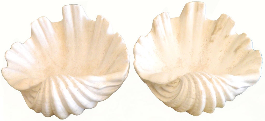 French Serge Roche  Pair Of Shell Wall Sconces
