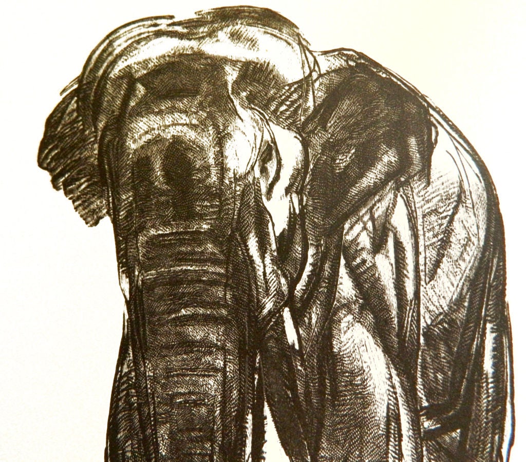 Elephant designed By Paul JOUVE in black frame.
Drawing : 9 1/4