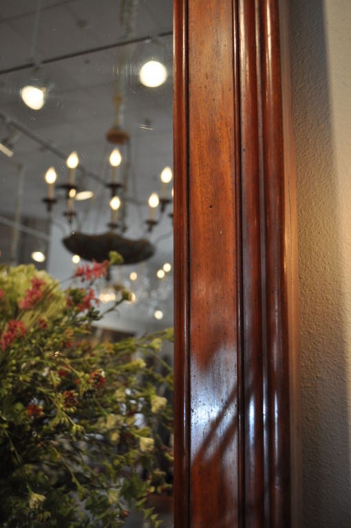 19th C Majestic Louis Philippe Mahogany Mirror