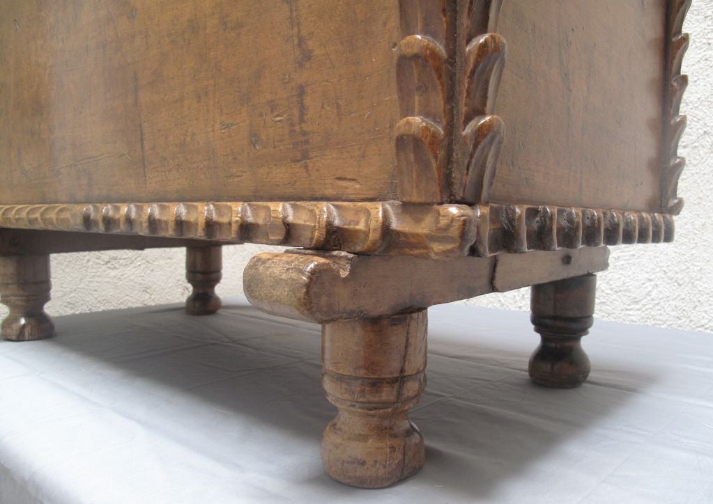 18th Century Spanish Colonial Sabino Trunk 2