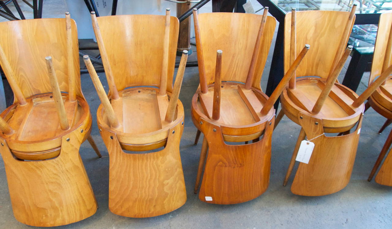 Plywood Set of 14 Mid-Century Baumann Bistro Chairs