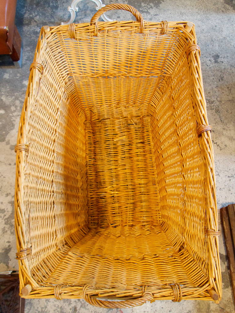 Reed Large French Baguette Basket