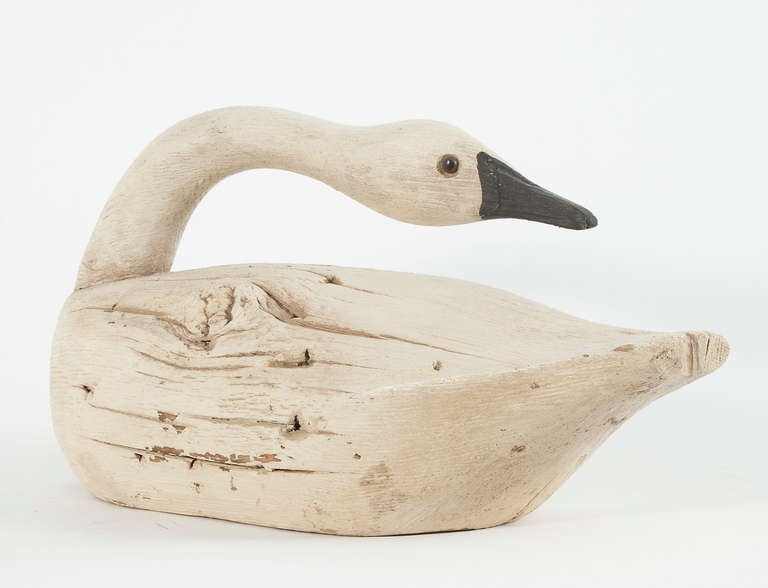 Swan in wood.