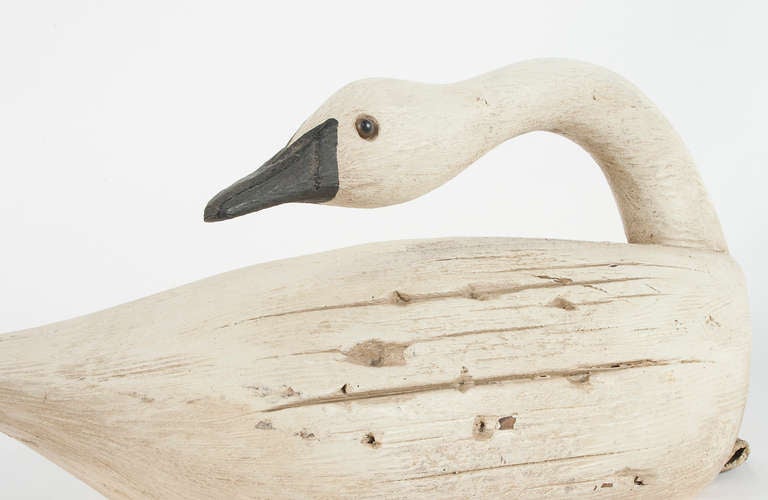 Danish Swan in Wood
