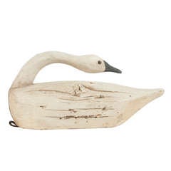 Swan in Wood