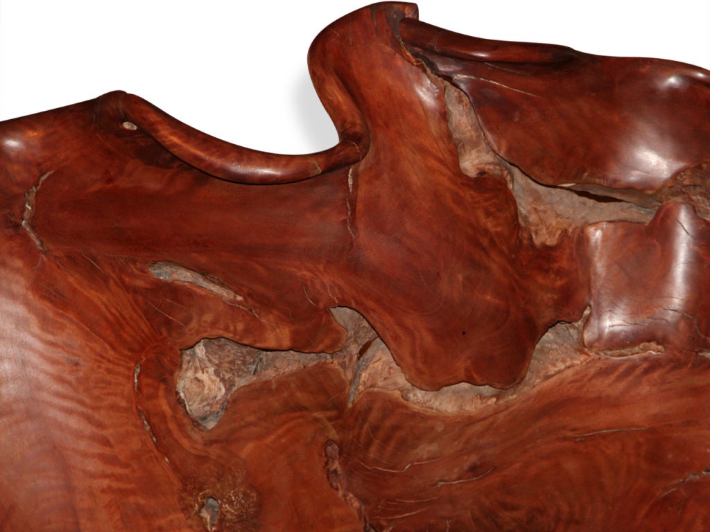 Root Wood Sculpture, based