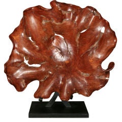 Root Wood Sculpture, based