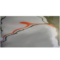 Chromogenic Print by Joseph La Piana Entitled 'Orange Sperm'