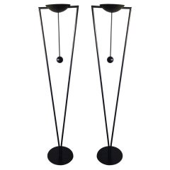 Stunning Pair of Floor Lamps with Adjustable Shades