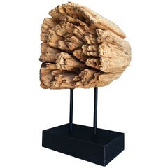 Stunning Wood Sculpture on a Metal Stand