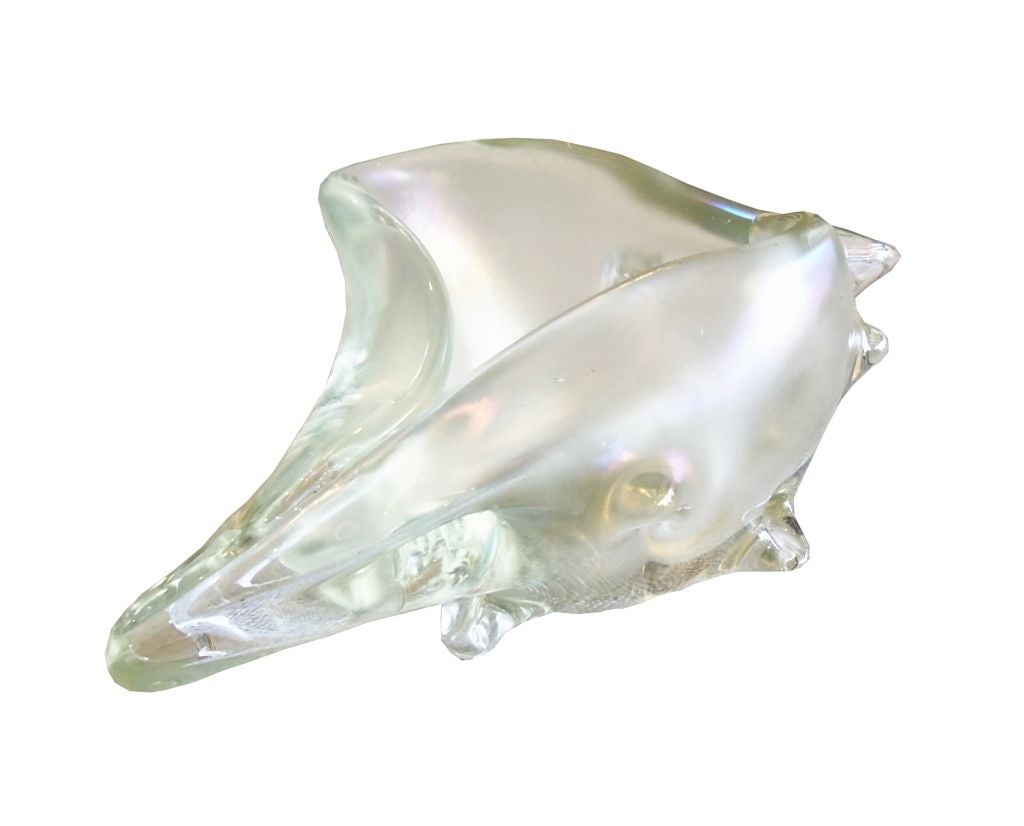 Stunningly large opalescent glass shell by the glass master Licio Zanetti. The rare signed piece is truly stunning, the attention to detail on this piece is amazing, the glass is very thick and delicate to the touch. The piece is in excellent