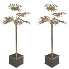 Pair of 6'5" Brass Palm Trees in a Black Lacqered Base