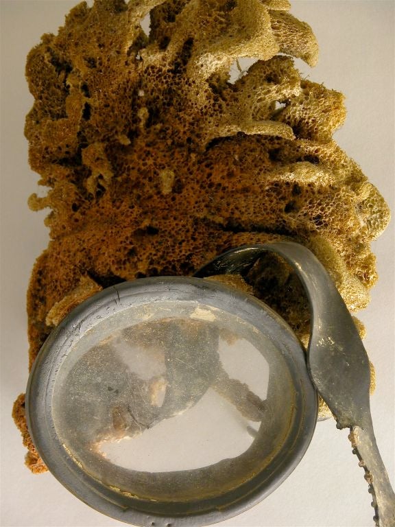 A snorkel mask having accidentally fallen to the depth where it did lay with the sponges.

Oddly, as fate would have it, 