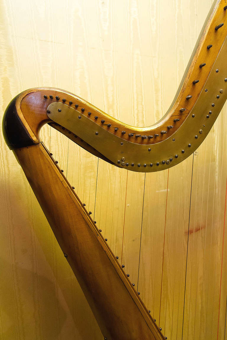 sebastian harp