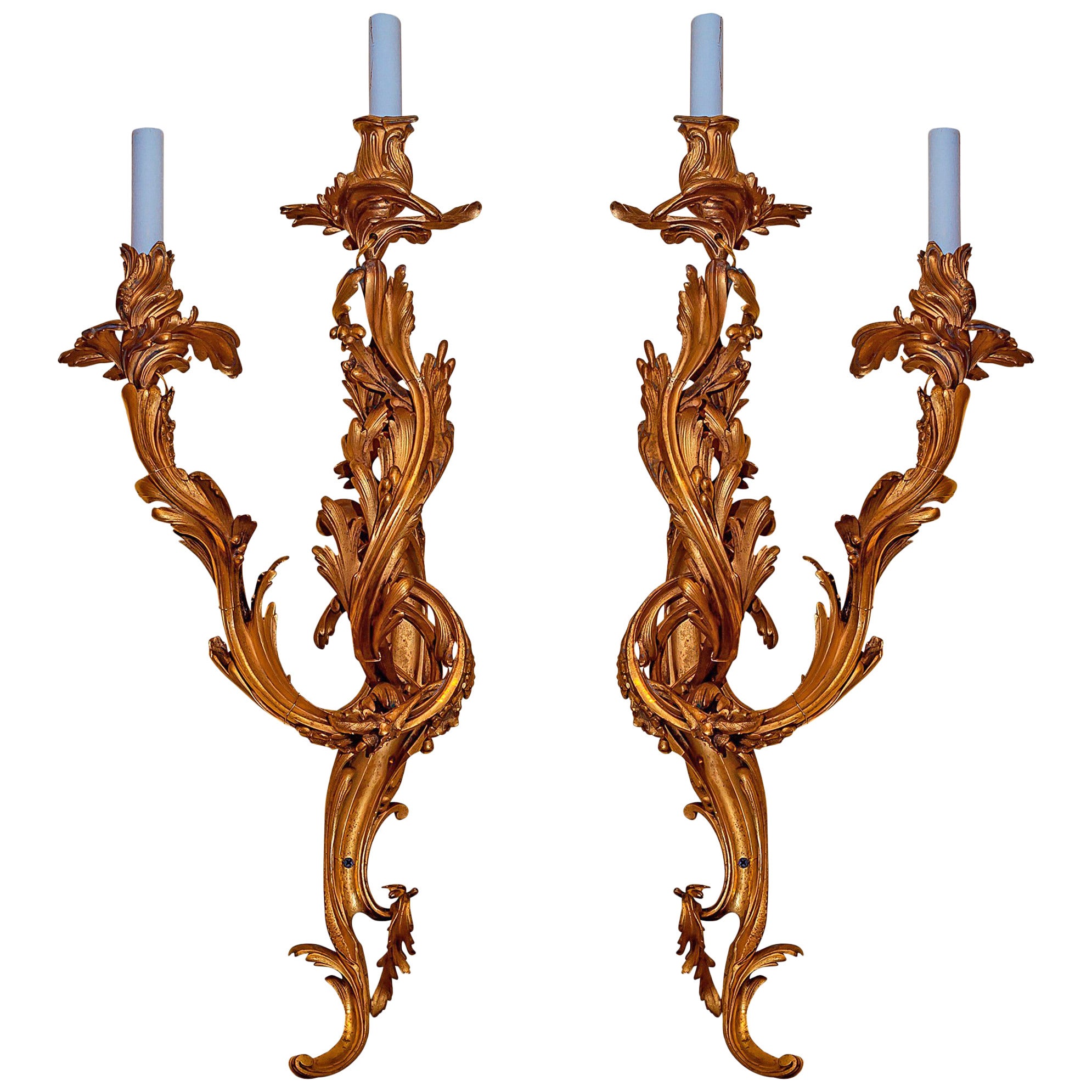 Exceptional Pair of Large Louis XV Style Gilt Bronze Wall Lights For Sale
