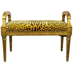 Vintage Louis XVI Style Giltwood Bench Seat with Leopard Design Upholstery
