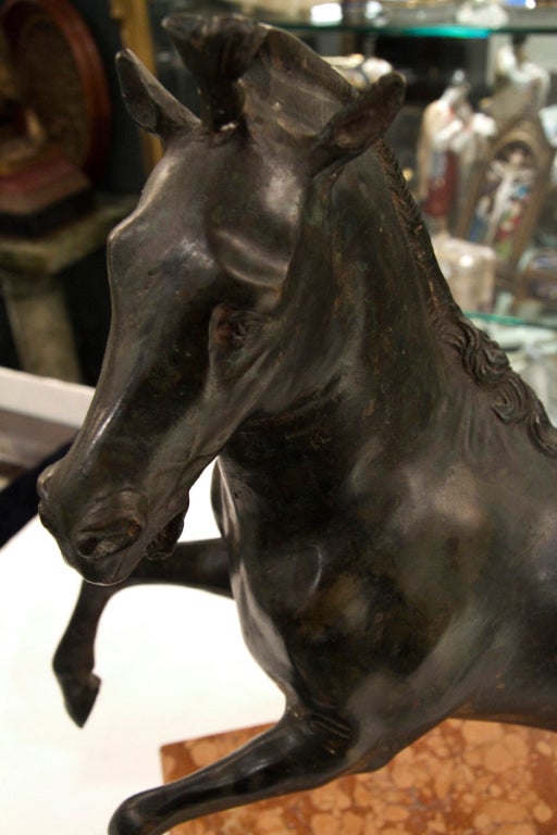 bronze model of a rearing horse on marble base